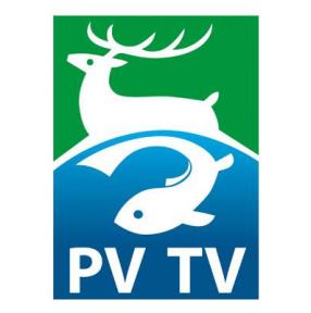 Pescari Tv Online
